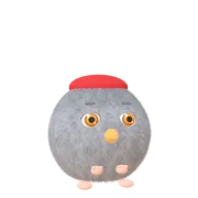 鸽子