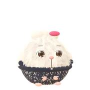 贵宾犬