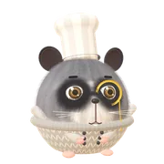 浣熊